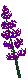 PLODSA12.BMP