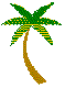 PLODSA00.BMP