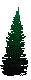 PLODRR00.BMP