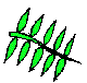 PLODCG20.BMP