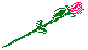 PLIDSL02.BMP