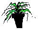 PLIDCG10.BMP
