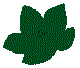 NAOTL00.BMP