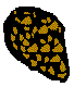 NALNSR44.BMP