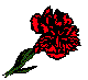 NALNSR41.BMP