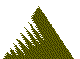 NALNSR33.BMP