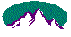 NALNSR25.BMP