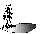 NALNSM29.BMP