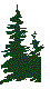 NALNSG00.BMP