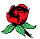 NALNRR04.BMP
