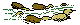 NALNCG30.BMP