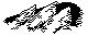 NALNCG29.BMP