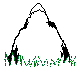 NALNCG10.BMP