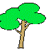 NALNCA06.BMP