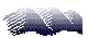 NALNCA05.BMP