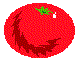 FDVGSR10.BMP