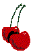 FDVGSR08.BMP