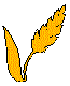 FDVGSR03.BMP