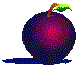 FDFTSR01.BMP