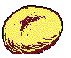 FDBRSR01.BMP