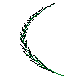 FDBRSA01.BMP