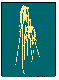 FDBRRG20.BMP