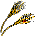 FDBRRG00.BMP
