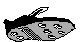 CLMICR01.BMP