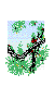 BDBRSS38.BMP