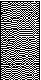 BDBORM63.BMP