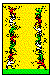 BDBORA05.BMP