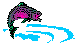 ANWASM04.BMP
