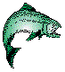 ANWARG20.BMP