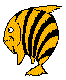 ANWACR01.BMP