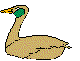 ANWACG02.BMP