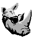 ANLNSR20.BMP