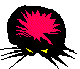 ANLNSR02.BMP