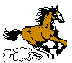 ANLNSR01.BMP