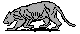 ANLNSM39.BMP