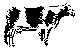 ANLNSM36.BMP