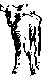 ANLNSM35.BMP