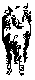 ANLNSM33.BMP