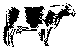 ANLNSM32.BMP