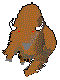 ANLNSG04.BMP