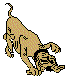 ANLNCL03.BMP