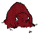 ANLNCG10.BMP