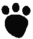ANLNCA11.BMP