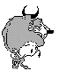 ANLNCA00.BMP