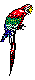 ANAISM03.BMP