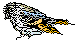 ANAIRR05.BMP